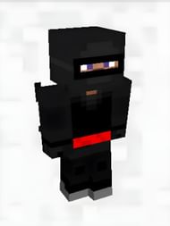 The Ninja skin (Image via SkinsMC)